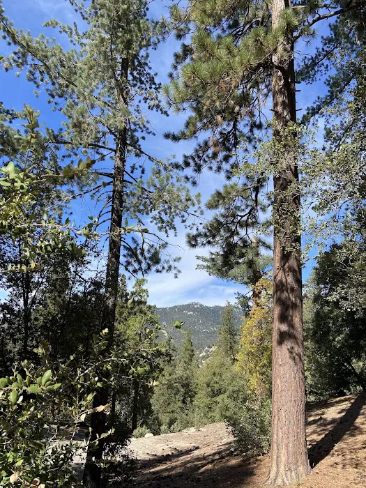 Fern Basin Campground Picture 3