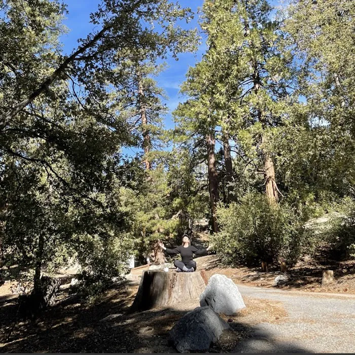 Fern Basin Campground Picture 2