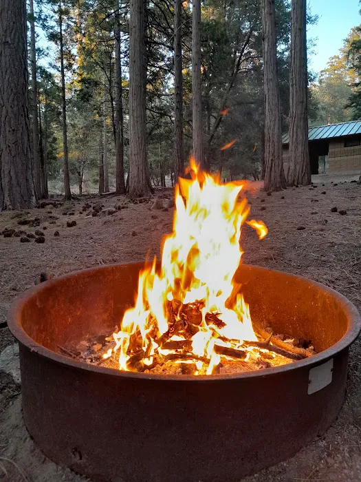 Fern Basin Campground Picture 6