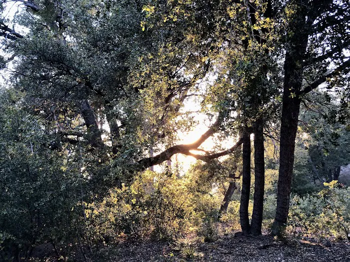 Fern Basin Campground Picture 8