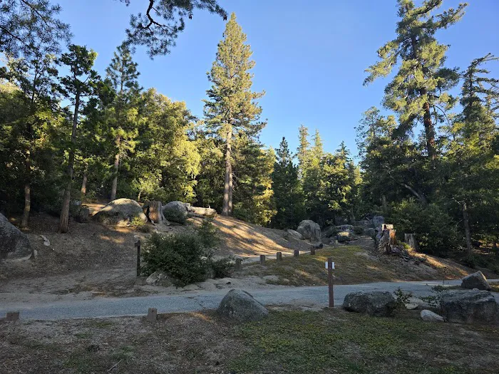 Marion Mountain Campground Picture 1
