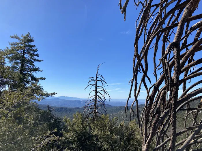 Marion Mountain Campground Picture 6