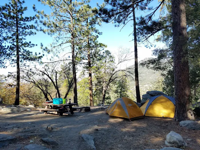 Marion Mountain Campground Picture 5