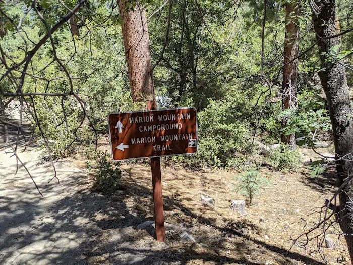 Marion Mountain Campground Picture 8