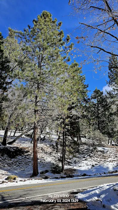 Lawler Lodge Picture 1