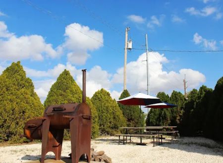 Weeping Willow RV Park