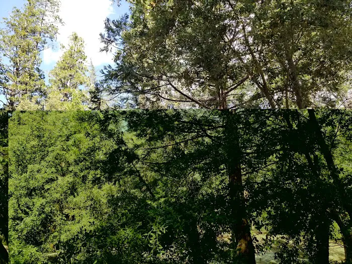 Dark Canyon Campground Picture 4