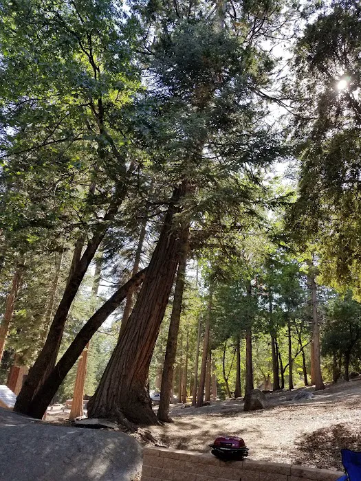Dark Canyon Campground Picture 1