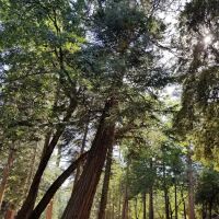 Dark Canyon Campground ico