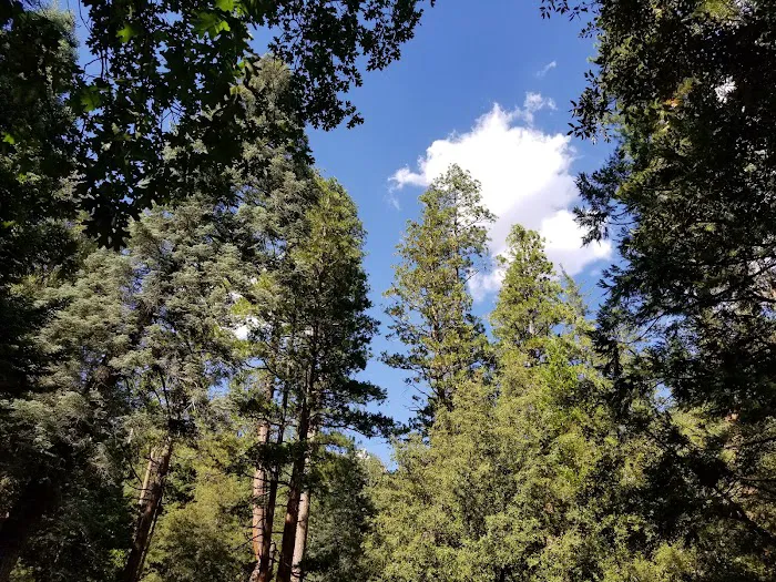 Dark Canyon Campground Picture 6