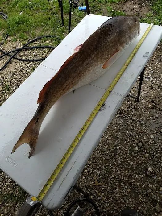 Bayou RV Picture 1