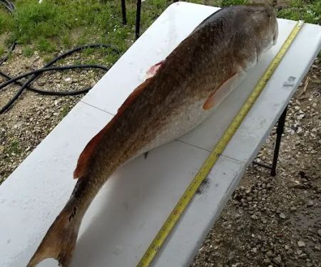 Bayou RV