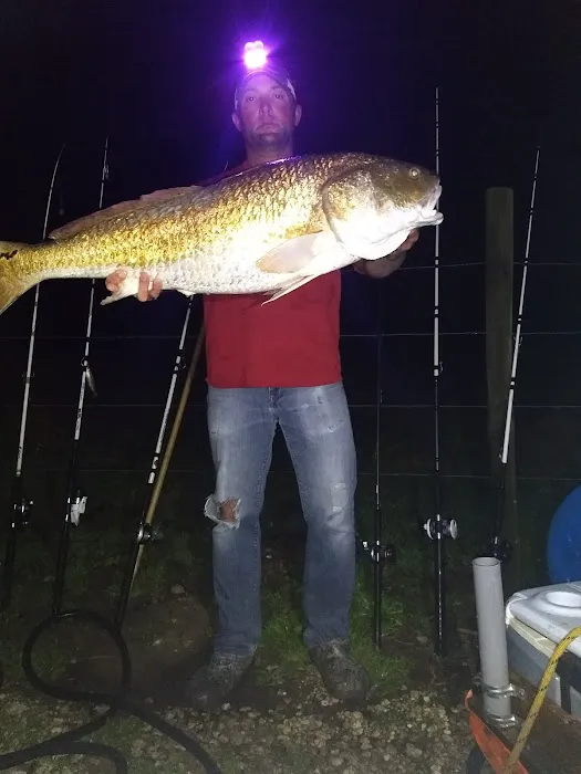 Bayou RV Picture 2
