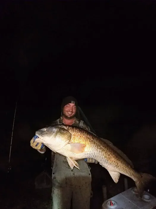 Bayou RV Picture 8