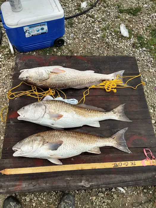 Bayou RV Picture 6