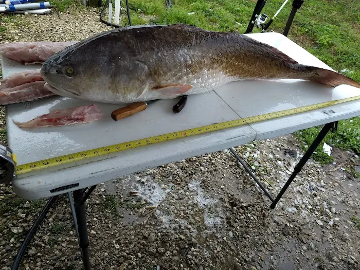 Bayou RV Picture 5