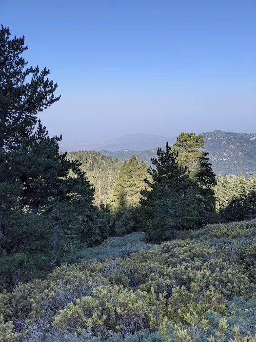 Little Round Valley Campground Picture 2