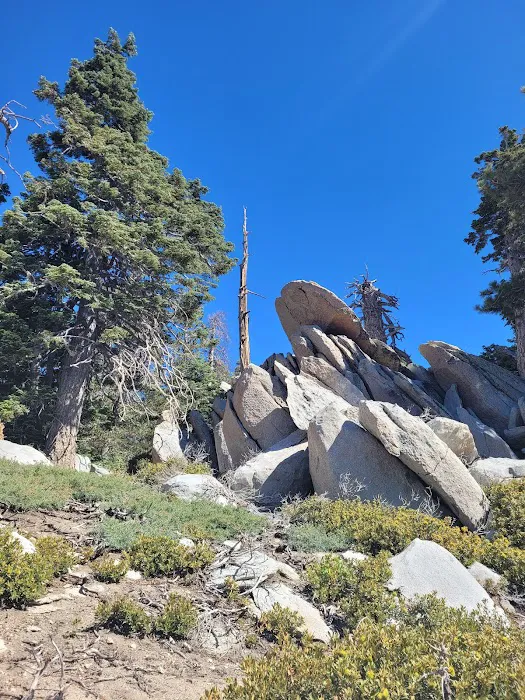 Round Valley Campground Picture 2