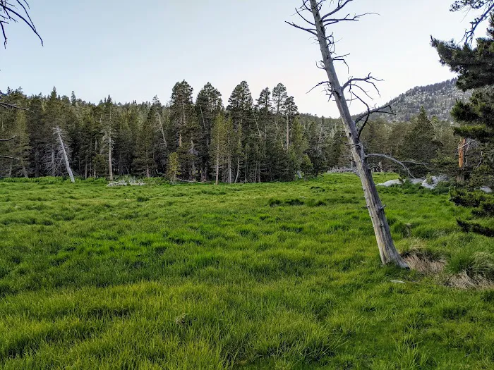 Round Valley Campground Picture 9