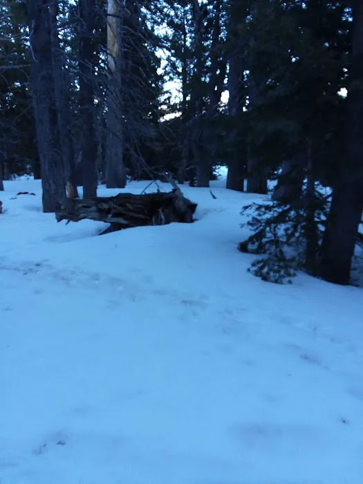 Round Valley Campground Picture 7
