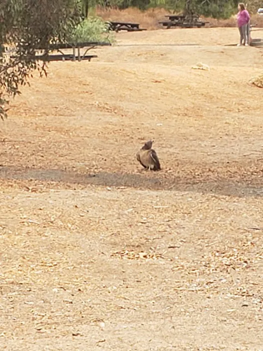 Quail Campground Picture 9