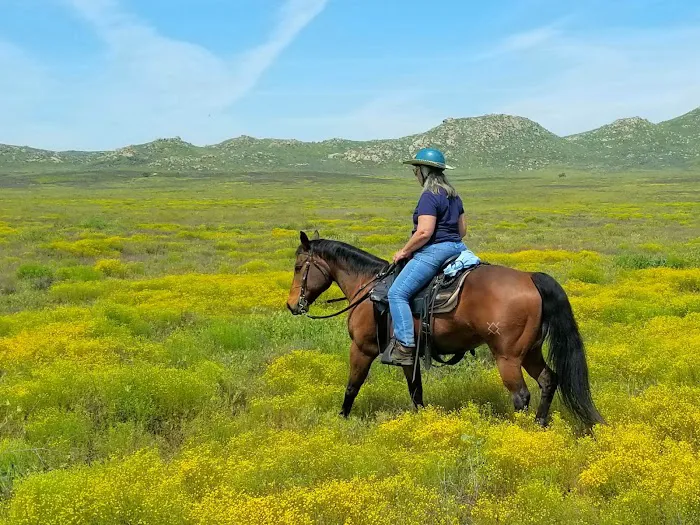 Lake Perris Horse Camp Picture 3