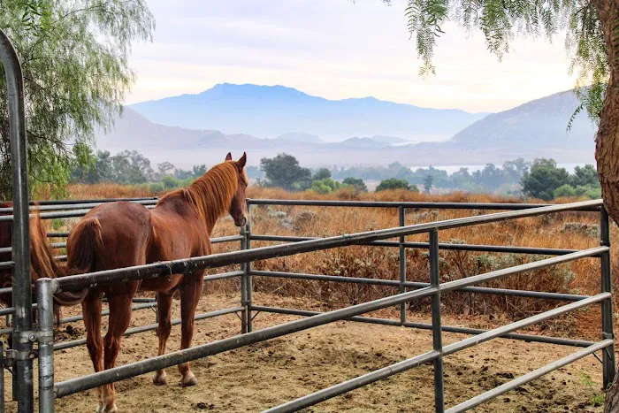 Lake Perris Horse Camp Picture 5