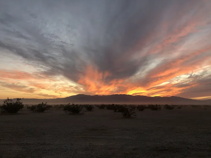 Ocotillo Wells --- Borrego Springs Picture 5