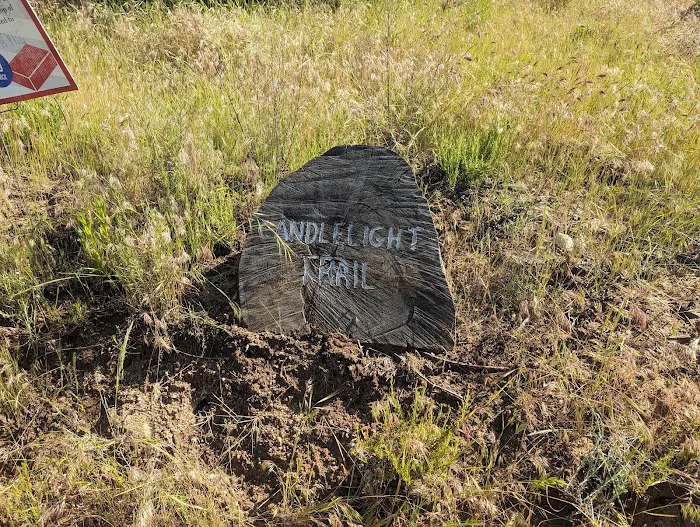 Bogart County Park Picture 7