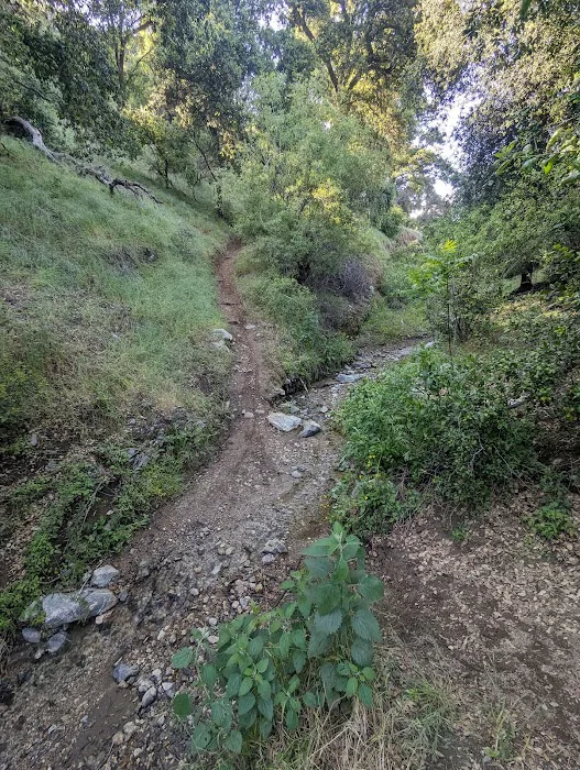 Bogart County Park Picture 10