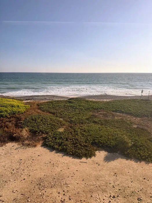 Palm Beach Park Picture 6