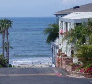 Palm Beach Park Picture 3