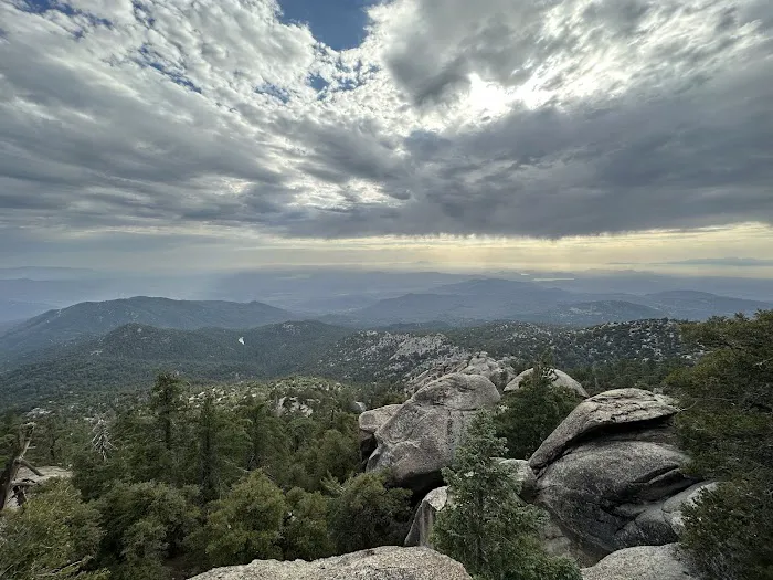 Boulder Basin Campground Picture 2