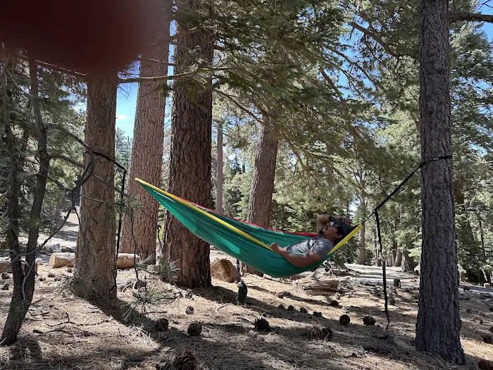 Boulder Basin Campground Picture 5