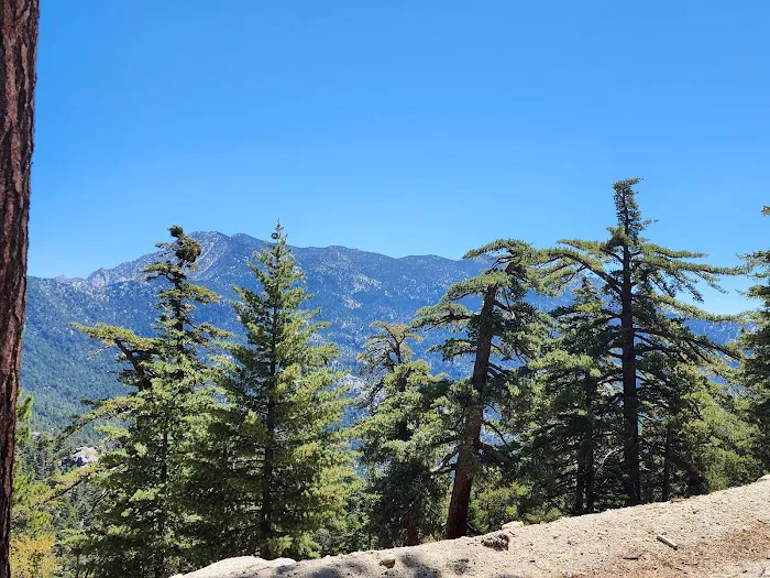 Boulder Basin Campground Picture 6