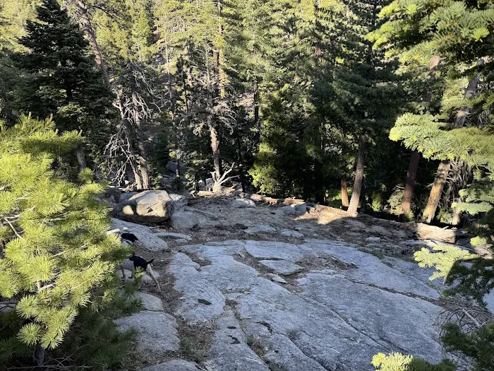 Black Mountain Yellow Post Sites Picture 3