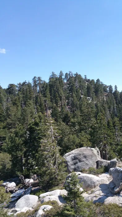 Black Mountain Group Campground Picture 9