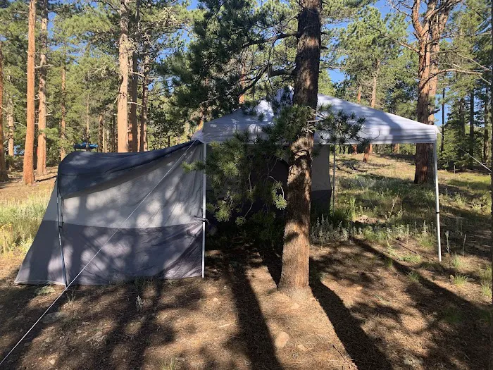 Meeker Park Overflow Campground Picture 1