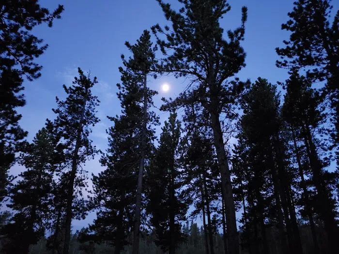 Meeker Park Overflow Campground Picture 5