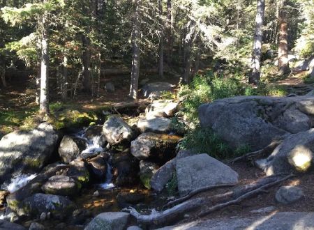 Longs Peak Campground