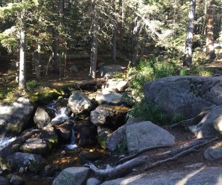 Longs Peak Campground