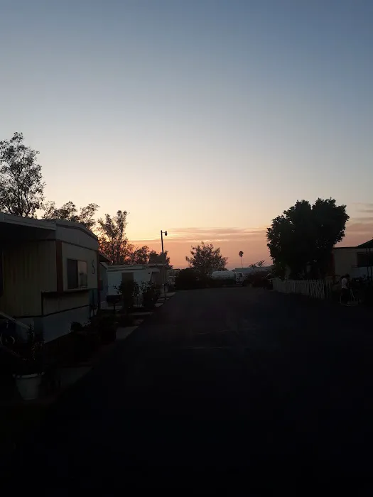 Regina Picture 2