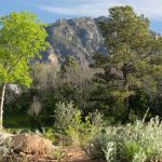 Golden Eagle Campground