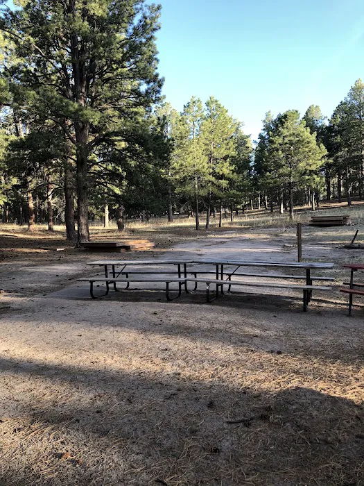 McNeil Scout Ranch at Peaceful Valley (Private Camp) Picture 6