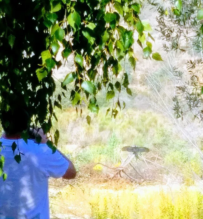 Arroyo Mobile Home Park Picture 9