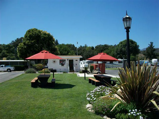Ventura Oaks Rv Park Picture 3
