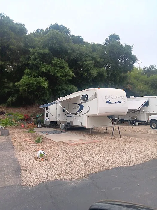 Ventura Oaks Rv Park Picture 4