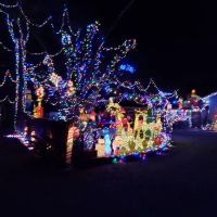 Ventura Oaks Rv Park ico