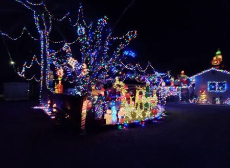 Ventura Oaks Rv Park