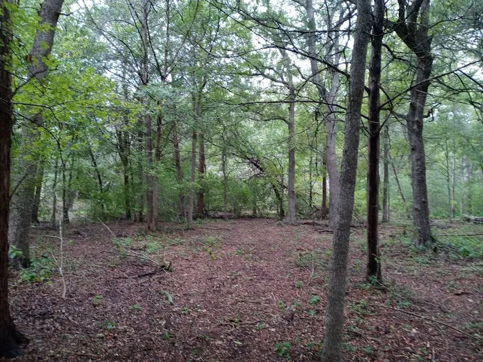 Squawk and Skedaddle Campground Picture 3